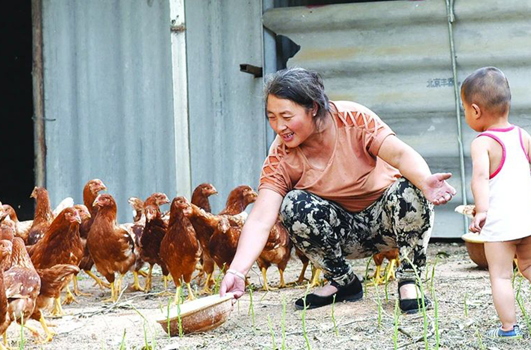 香港特区六总站